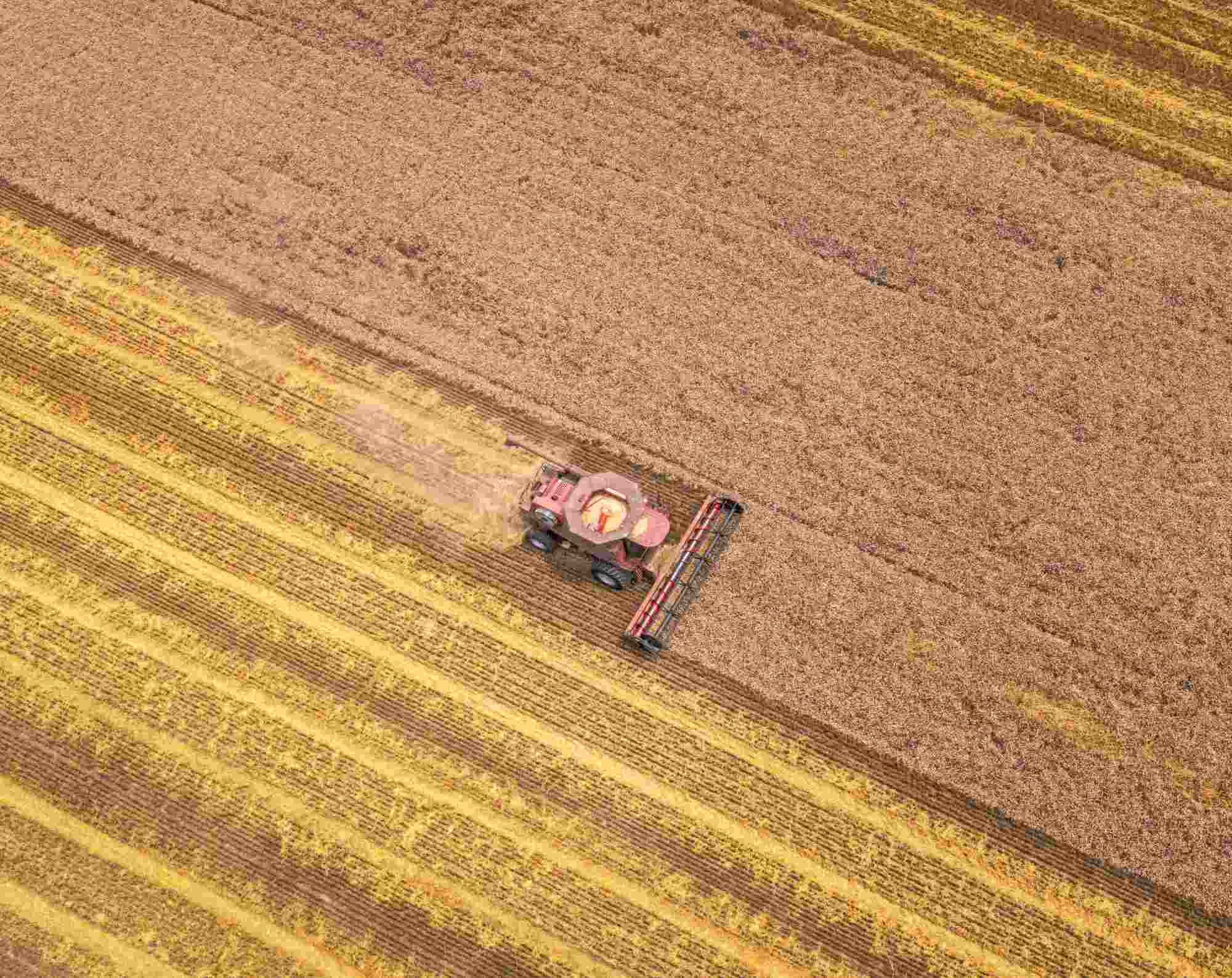 Agroalimentaire Valoriser les savoir-faire